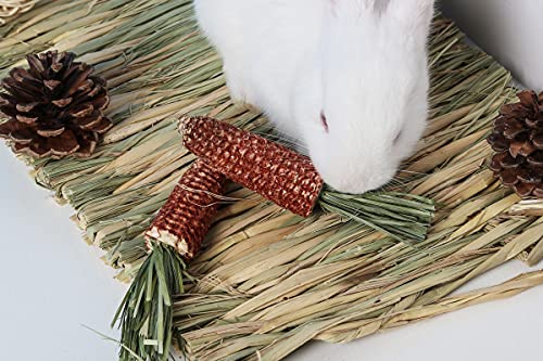 Rabbit Chew Toys for Teeth, Bunny Molar Toys, Small Animal Chew Molar Toys Natural Flower Timothy Grass Cake Pinecones and Corn Toy for Rabbits Chinchilla Hamsters Guinea Pigs Gerbils… (Style 1)