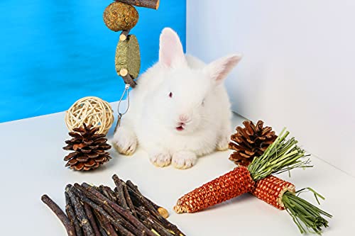 Rabbit Chew Toys for Teeth, Bunny Molar Toys, Small Animal Chew Molar Toys Natural Flower Timothy Grass Cake Pinecones and Corn Toy for Rabbits Chinchilla Hamsters Guinea Pigs Gerbils… (Style 1)