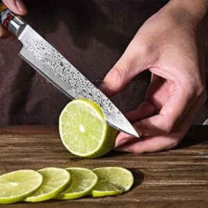 Utility Paring Knife 6 Inch Damascus Chefs Knife Utility Kitchen Knife Japanese VG10 Kitchen Paring Knives 67-Layer High Carbon Stainless Steel Knife Fruit Knife Christmas Gift