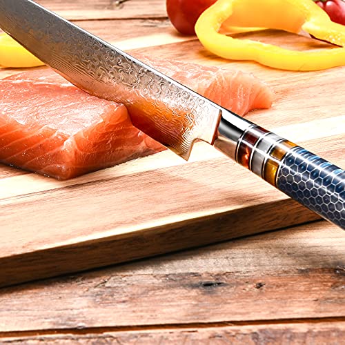 Utility Paring Knife 6 Inch Damascus Chefs Knife Utility Kitchen Knife Japanese VG10 Kitchen Paring Knives 67-Layer High Carbon Stainless Steel Knife Fruit Knife Christmas Gift