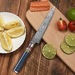 Utility Paring Knife 6 Inch Damascus Chefs Knife Utility Kitchen Knife Japanese VG10 Kitchen Paring Knives 67-Layer High Carbon Stainless Steel Knife Fruit Knife Christmas Gift