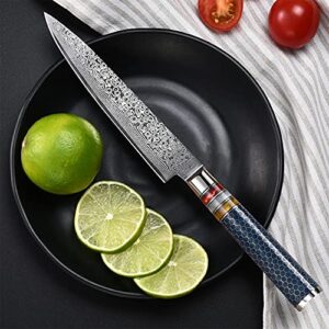 Utility Paring Knife 6 Inch Damascus Chefs Knife Utility Kitchen Knife Japanese VG10 Kitchen Paring Knives 67-Layer High Carbon Stainless Steel Knife Fruit Knife Christmas Gift