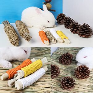 Bunny Chew Toys for Teeth, Rabbit Molar Toys, Natural Timothy Grass, Flowers, Seagrass, Sweet Bamboo Small Animal Chew Toys for Rabbits Chinchilla Hamsters Guinea Pigs Gerbils Groundhog Squirrels