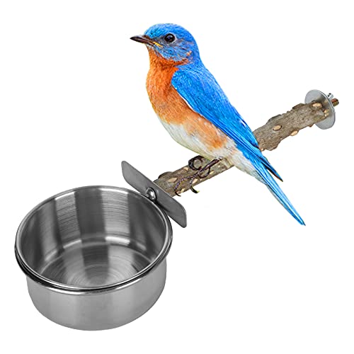 Wood Bird Perch with Bird Feeding Cups Stainless Steel Parrot Food Water Bowls Dish Feeder for Cockatiel Conure Budgies Parakeet [S] Feeding & Watering Supplies