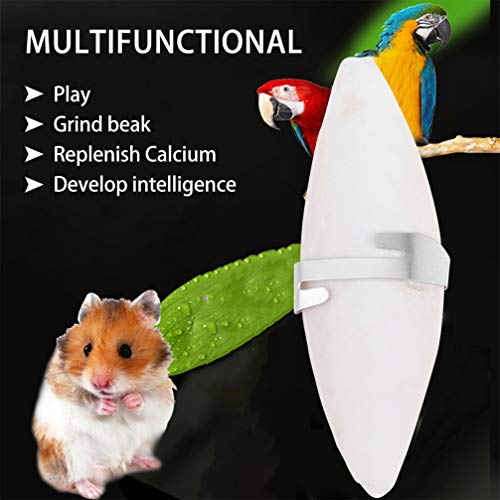 TEHAUX 12 pcs Bird Cuttlebone for Parakeets, Natural Cuddle Bone with Metal Holder, Chewing Cuttlefish Bone for Sharp Beaks, Natural Birds Calcium Suitable for Parrot Cockatiels Budgie Conures