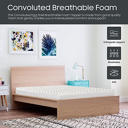 Nutan Breathable 1-inch Convoluted Egg Shell Design Mattress Topper | High-Performance Supporting Bed Pads with Effective Softness, Relaxing Bed Toppers for Back Pain and Better Sleep, Queen, White