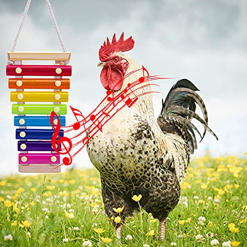 EBaokuup 5PCS Chicken Xylophone Toy Set - Natural Wooden Chicken Swing Toys - Chicken Mirror Chicken Veggies Skewer Fruit Holder - Chicken Toys for Hens