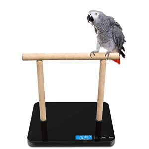 Digital Pet Bird Scale, Parrot Training Weight Scale with Perch, 0.05 Ounce Accuracy,70 Ounce Capacity, Easy Clean Black Glass Platform Suitable for Parrot and Macaws