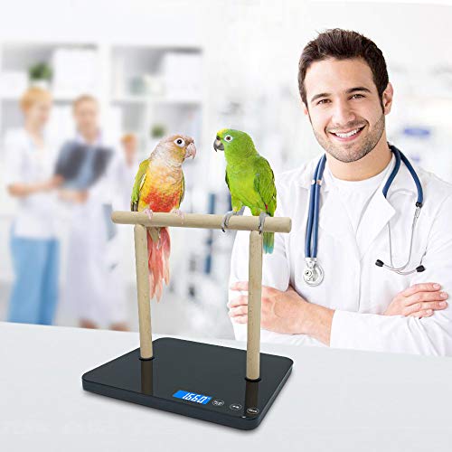 Digital Pet Bird Scale, Parrot Training Weight Scale with Perch, 0.05 Ounce Accuracy,70 Ounce Capacity, Easy Clean Black Glass Platform Suitable for Parrot and Macaws