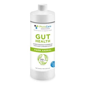 dr connies gut health | supplement to support farm animal gut barrier | antibiotic-free & veterinarian-developed | increase digestive health swine, poultry, calves