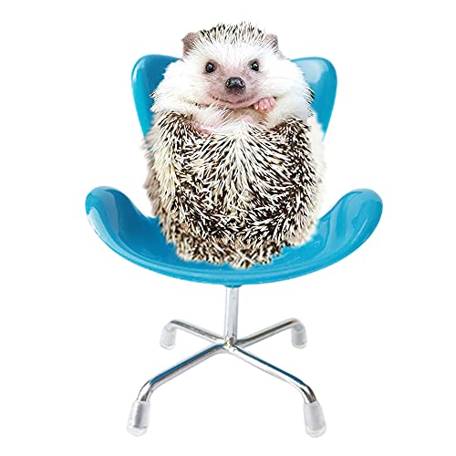 WOLEDOE Hedgehog Supplies, Pet Chair Photography Props, Small Animal Furniture for Cage Accessories - Blue