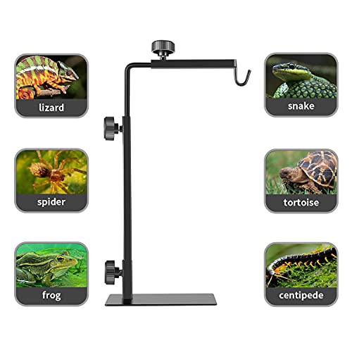 BOURDSERK Reptile Lamp Stand, Adjustable 16-31 Inch Domes Heat Lamp Metal Bracket Floor Light Holder for Reptile Terrarium Lighting Heating Light and Dome lampshade, Large