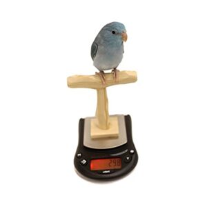 Mini NU Perch Parakeet Training Scale - Small Parrots & Parakeets