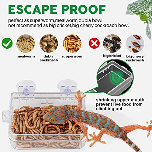 2 Pack Reptile Water Food Dish 1 Feeding Tongs,Tank Accessories for Lizard Bearded Dragon Leopard,Crested Gecko Chameleon Tortoise Frog Hermit Crab Iguana,Superworm Dubia Mealworm Escape Proof Bowl