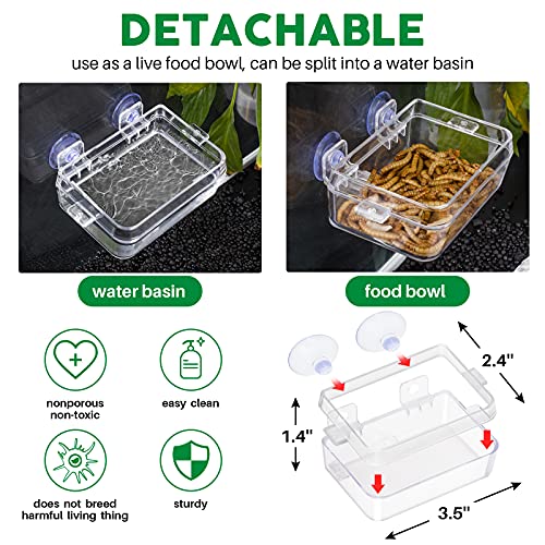 2 Pack Reptile Water Food Dish 1 Feeding Tongs,Tank Accessories for Lizard Bearded Dragon Leopard,Crested Gecko Chameleon Tortoise Frog Hermit Crab Iguana,Superworm Dubia Mealworm Escape Proof Bowl