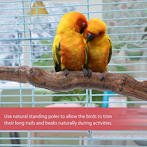 COUNER Bird Parrot Perch Stand Natural Wild Grape Stick Bird Play Stand Bird Toys Grinding Paw Cage Accessories for Cockatiels Budgie Parakeets Conures Love Birds Finches