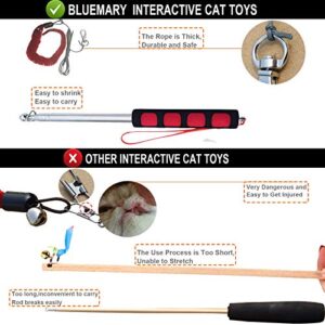 bluemary Cat Toys, 2pcs Cat Wand Toy and 4pcs Rainbow Cat String Toy with Feather Teasers, Interactive Cat Toys for Indoors,Funny Exercise for Kitten or Cats