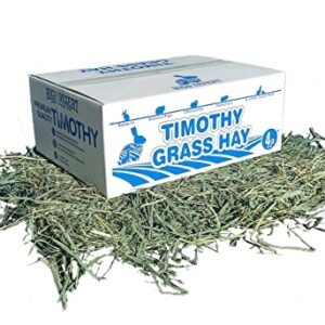 High Desert 2nd Cutting Timothy Grass Hay for Guinea Pigs, Rabbits, and More Small Animal Pets