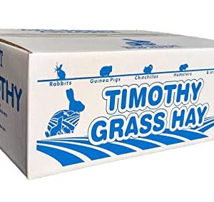 High Desert 2nd Cutting Timothy Grass Hay for Guinea Pigs, Rabbits, and More Small Animal Pets