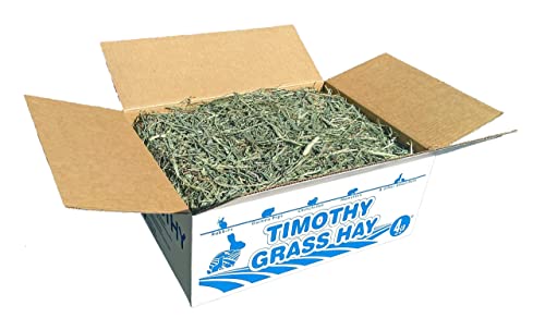 High Desert 2nd Cutting Timothy Grass Hay for Guinea Pigs, Rabbits, and More Small Animal Pets