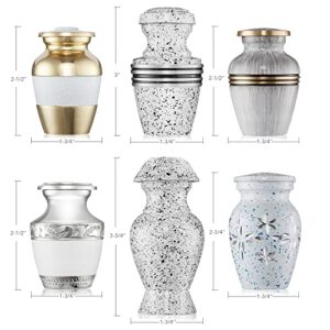 Reminded Small Keepsake Cremation Urns for Human Ashes, Set of 6 Silver and Gold Family Memorial Urns with Velvet Case and Bags