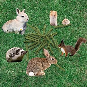 LSSH GmbH 20PCS Natural Timothy Hay Sticks, Timothy Grass Molar Stick Chew Toys for Rabbits, Chinchillas, Guinea Pigs, Hamsters and Other Small Animals Treats.