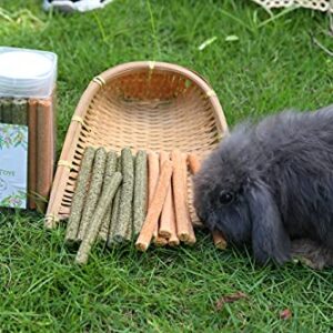 VCZONE Rabbit Chew Toys for Teeth, Timothy Grass Carrot Sticks for Guinea Pig Hamster Chinchilla Squirrel Bunny Small Animals (Timothy + Carrot)