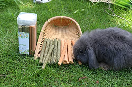 VCZONE Rabbit Chew Toys for Teeth, Timothy Grass Carrot Sticks for Guinea Pig Hamster Chinchilla Squirrel Bunny Small Animals (Timothy + Carrot)