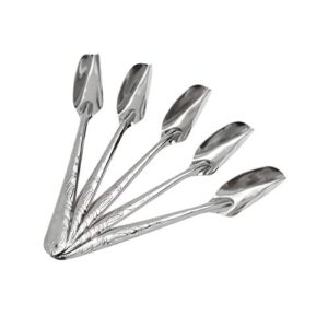 quluxe 5 pcs bird parrot stainless steel metal feeding spoon, special feeding scoop medicine spoons hand feeding spoons for peony cockatiel parrot