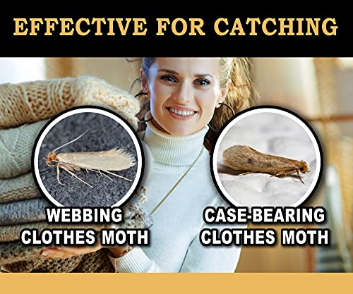 MaxGuard Clothes Moth Traps (6+2 Free Traps) with Extra Strength Pheromones | Non-Toxic Sticky Glue Trap for Closets and Carpet Moths | No Mothballs | Lure, Trap and Kill Case-Bearing Webbing Moths |