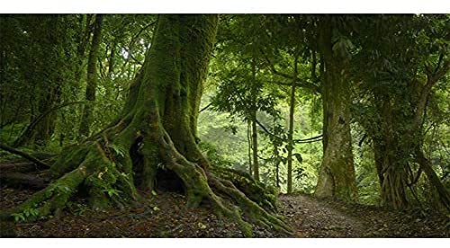 AWERT Deep Forest Terrarium Background Tropical Aquarium Background Foggy Green Huge Trees Reptile Habitat Background 36x18 inches Polyester Background