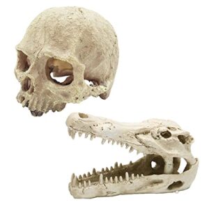 tfwadmx bearded dragon tank accessories reptiles crocodile skull decorations resin human skulls hideouts cave habitat decor for chameleon,snake,spider,gecko and fish