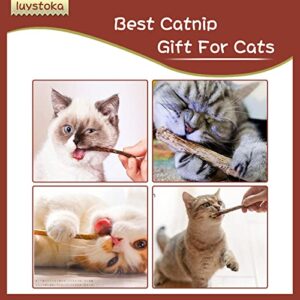 30PCS Kitten Toys Catnip Toys Matatabi Silvervine Sticks Kitty Chew Toys Wooden Stick Kitten Teething Toys Molar Suitable for Cats of All Ages