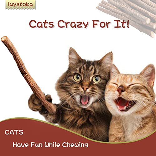 30PCS Kitten Toys Catnip Toys Matatabi Silvervine Sticks Kitty Chew Toys Wooden Stick Kitten Teething Toys Molar Suitable for Cats of All Ages