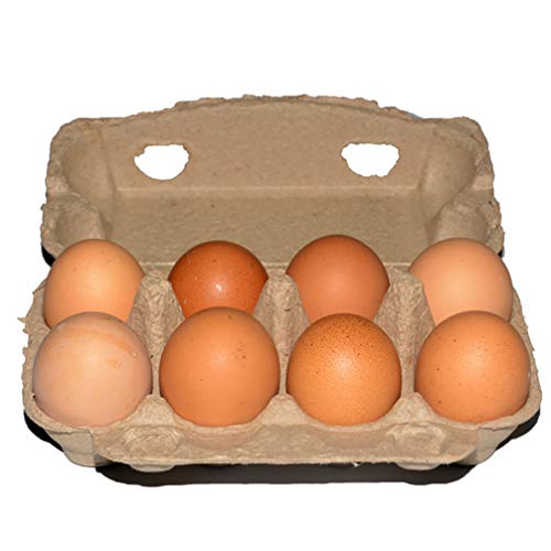 Cabilock 20pcs Egg Cartons Paper Tray Fiber Egg Tray Holder Pulp Egg Containers for Family Farm Market Camping Picnic Travel (Kraft Paper Color)