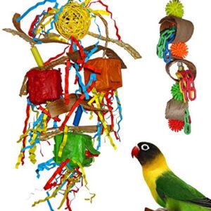 Fetch-It Pets 2 Pack Bird/Parrot Surprise Box Fundangle & Fiesta Foraging Toys Suitable for Small Parakeets, Cockatiel, Conures, Finches, Budgie, Macaws, Parrots, Love Birds