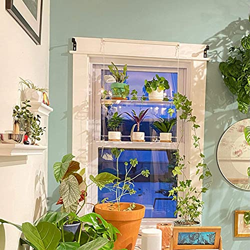 Goosacyon Window Plant Shelf Indoor Transparent Hanging Planter Shelf Displays Storage Rack Acrylic Window Shelves for Living Room Bedroom Bathroom Kitchen (210506SH01-1-10572-1910001901)