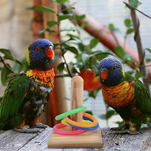 POPETPOP Bird Parrot Toy Bird Ring Toss Game Parrot Training Toys Bird Beak Trim Toys Bird Chewing Toys for Macaws African Grey Cockatoos