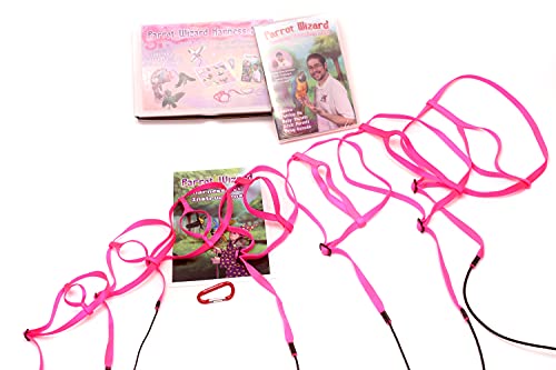 Parrot Wizard Bird Harness Set (XL, Pink)