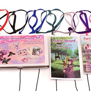 Parrot Wizard Bird Harness Set (XL, Pink)