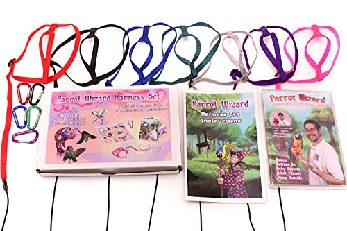 Parrot Wizard Bird Harness Set (XL, Pink)