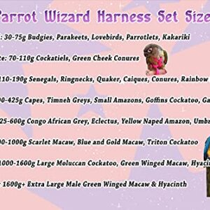 Parrot Wizard Bird Harness Set (XL, Pink)