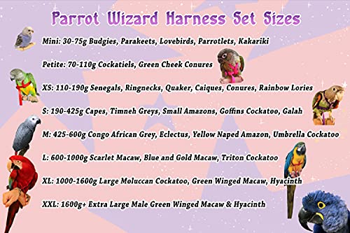 Parrot Wizard Bird Harness Set (XL, Pink)