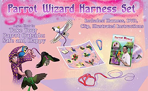 Parrot Wizard Bird Harness Set (XL, Pink)