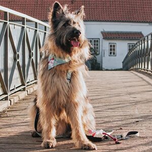 Max & Molly Reversible Fabric Bandana for Dogs & Cats, Soft Washable Fabric, No-Tie Design, Pet Collar Slides Through Top Loop to Keep Bandana Securely in Place Unicorns (M/L)