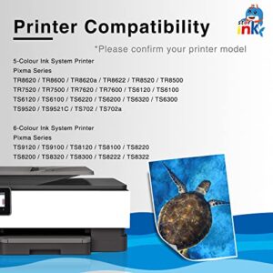 st@r ink Compatible Ink Cartridge Replacement for Canon PGI-280 XXL 280XXL PGBK for Pixma TR8620 TR8620a TR8520 TR7520 TS9120 TS8320 TS8220 TS6120 TS6220 TS6320 Printer(2 Packs)