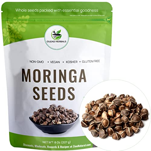 Gilead Herbals Moringa Seeds - 1000+ Seeds Approx.- Wingless Seeds - PKM1 Variety - 8 Oz - Snacking - Planting - Moringa Oleifera Seeds - Malunggay - Semillas De Moringa - Drumstick - Non-GMO