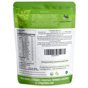 Gilead Herbals Moringa Seeds - 1000+ Seeds Approx.- Wingless Seeds - PKM1 Variety - 8 Oz - Snacking - Planting - Moringa Oleifera Seeds - Malunggay - Semillas De Moringa - Drumstick - Non-GMO