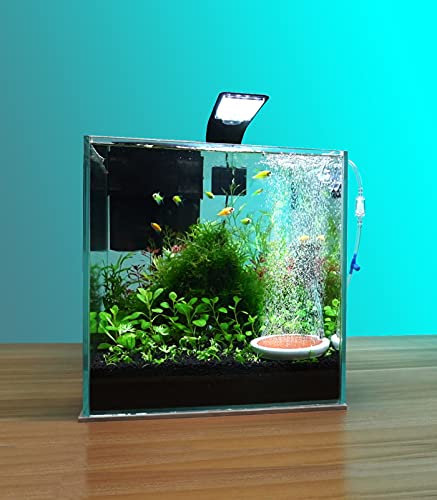 Clscea 4 Inch Air Stone Disc Bubble Diffuser for Aquarium Fish Tank Pump Hydroponics