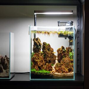 HIRO Aquatics Nano Tall Rimless Aquarium, Low Iron Glass Framless Tank, Betta Fish Tank, White Leveling Mat Included (5 Gallon- 25X25X30cm)